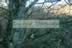 Greens - Gamrie.jpg (171kb)